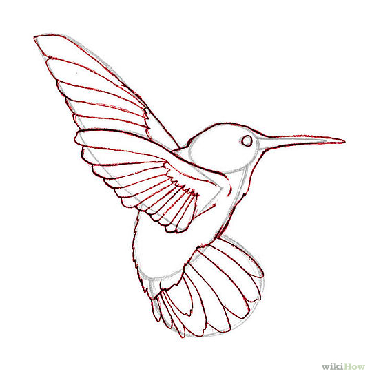 1000+ images about Chicken and bird drawings