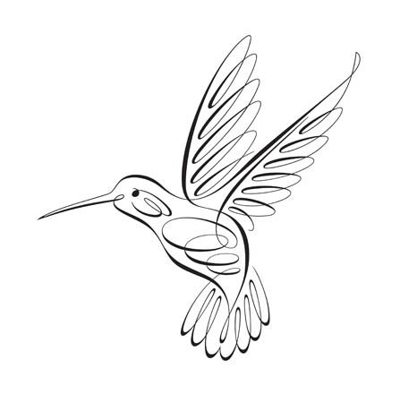 1000+ images about hummingbird