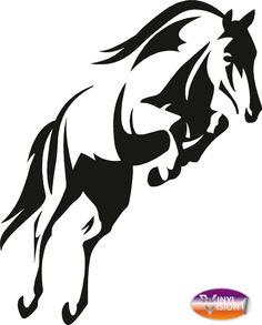 Products, Horses and Trailers