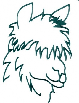 Alpaca cartoon clipart