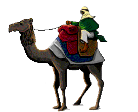 camel.gif