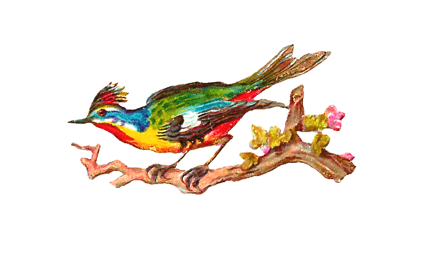Antique Images: Free Bird Clip Art: Antique Bird Clip Art of ...