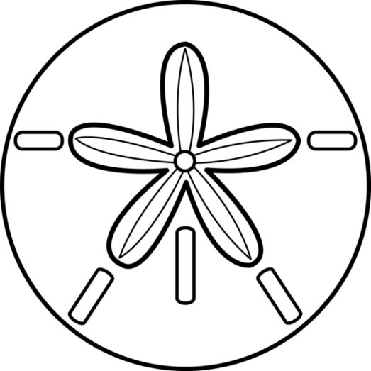 Sand Dollar Outline Clipart - Free to use Clip Art Resource