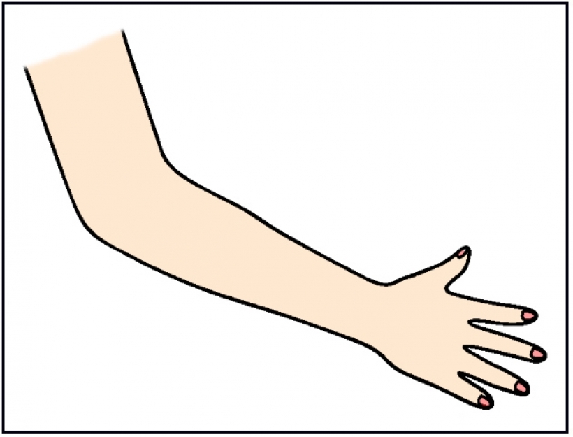 Clipart arms and hands