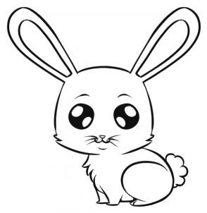 Cute Bunny Drawing Photo Album - Jefney
