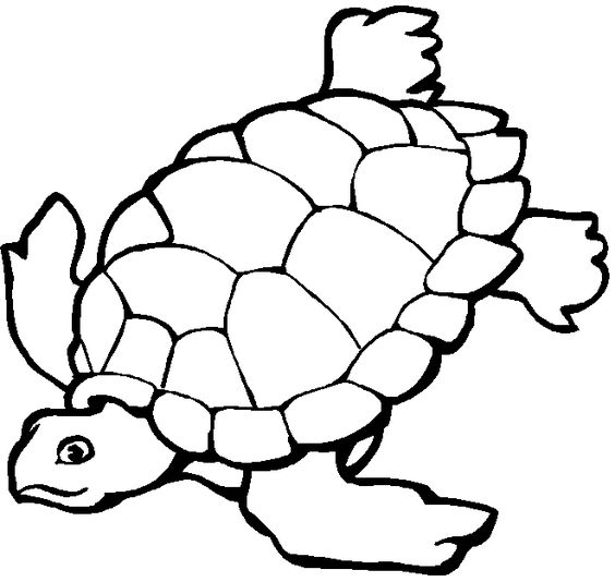 Ocean coloring pages, Printable pictures and Coloring