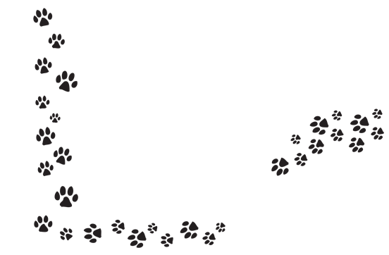 Dog paw tracks clipart