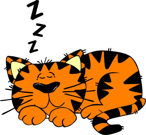 Animated Cat Clipart