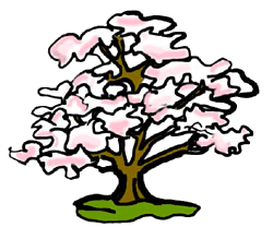 Dogwood Tree Clipart