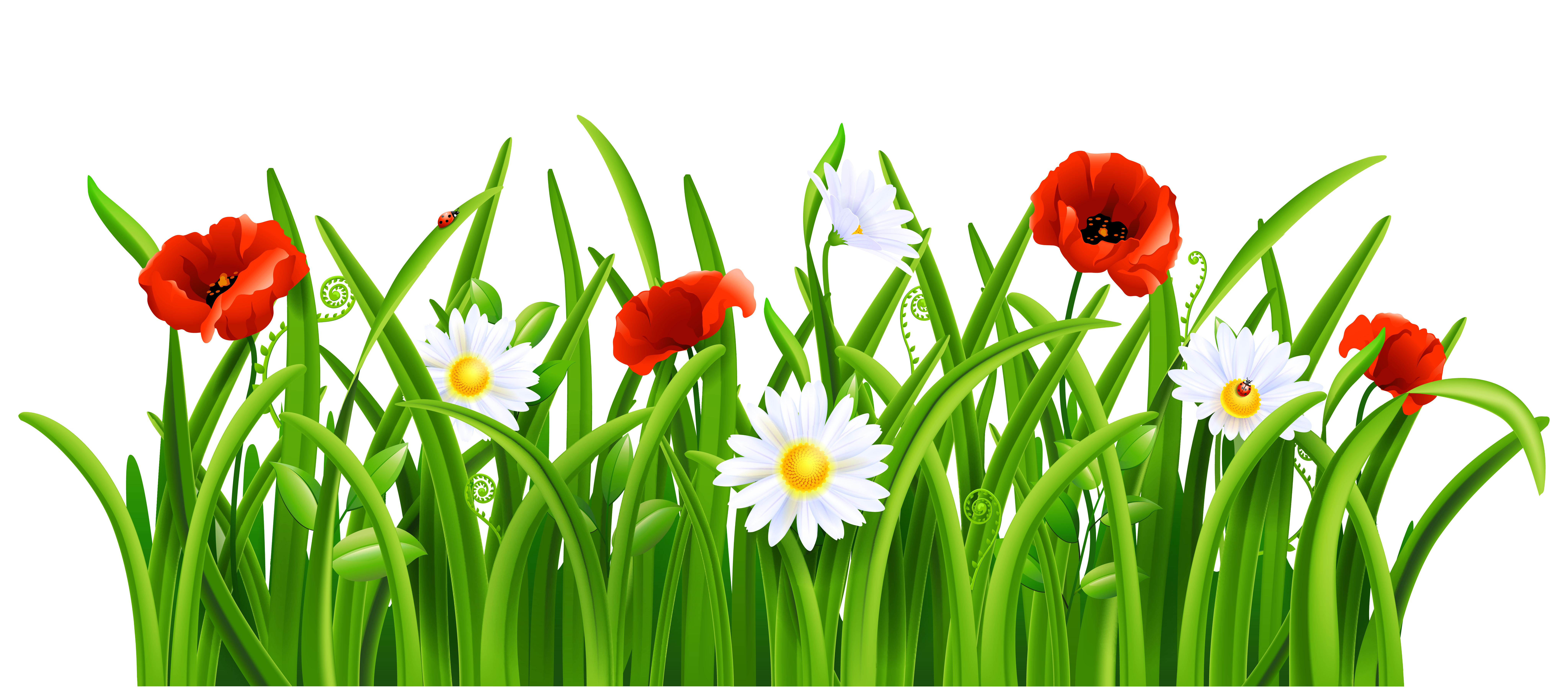 Grass Background Clipart - ClipArt Best