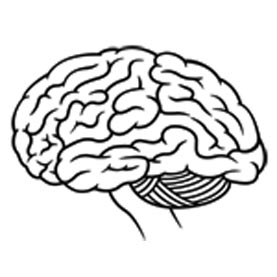 1000+ images about Dendrites | Adhd, Guided reading ...