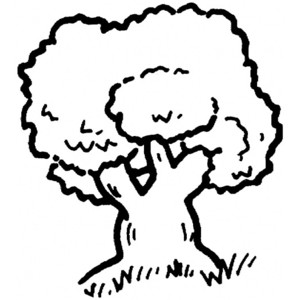 Oak Tree Outline coloring page | Super Coloring Pages | Oak ...