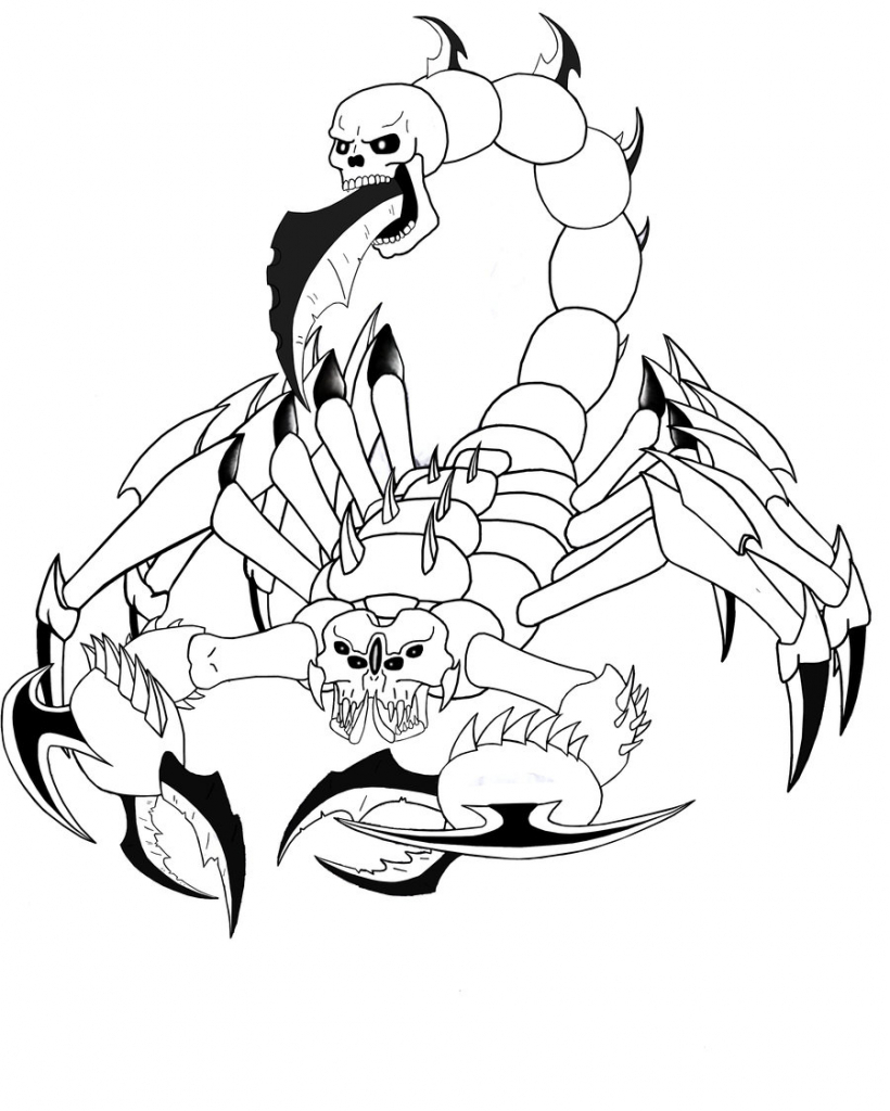 Drawing Of A Scorpion - Drawing Art Library