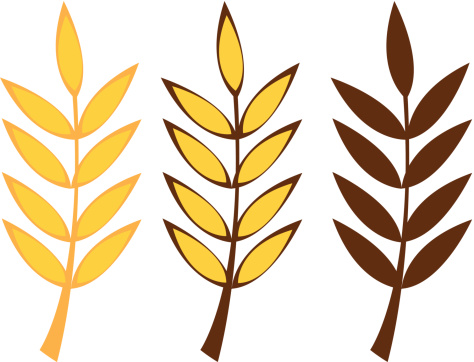 Wheat Crop Cartoon Stem Clip Art, Vector Images & Illustrations ...