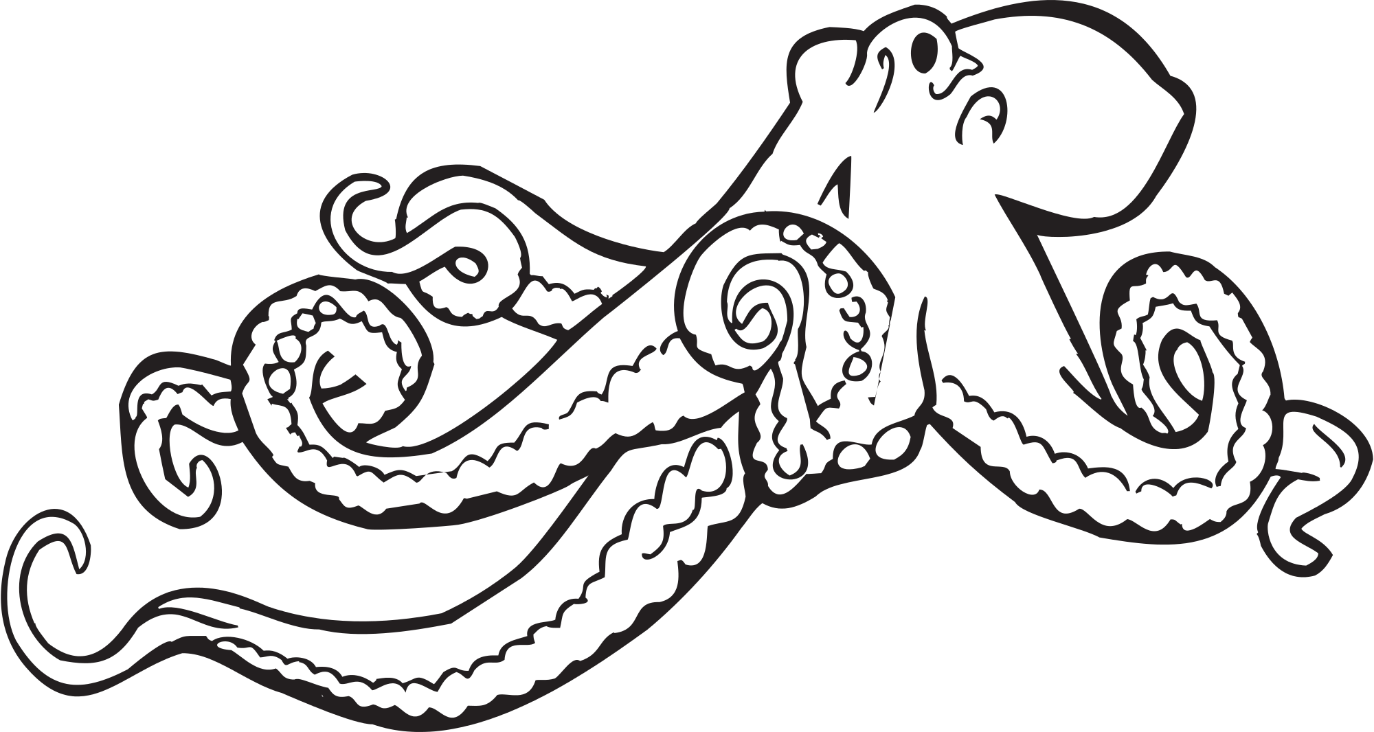 Free Octopus Clip Art Pictures - Clipartix