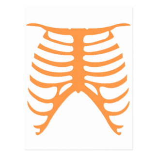 Rib Cage Postcards | Zazzle