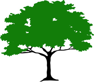 Tree Clipart - Free Clipart Images