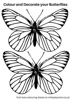 Butterfly Template | Templates ...
