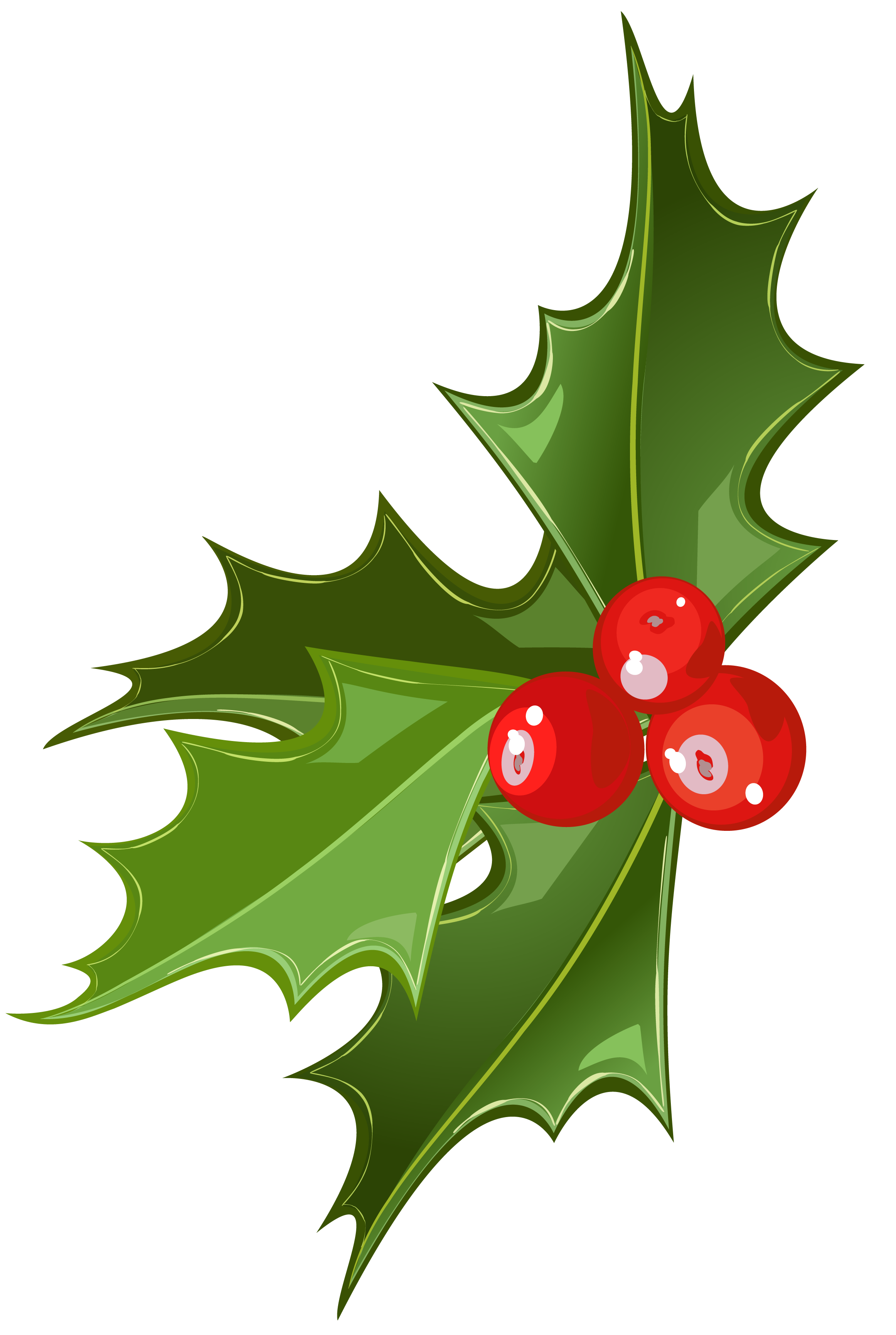 Mistletoe Clipart - Tumundografico