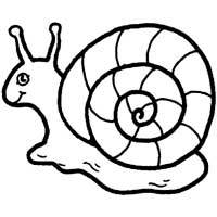 Snail Â» Coloring Pages Â» Surfnetkids