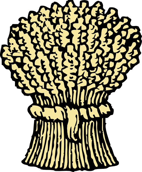 Wood Grain Clip Art