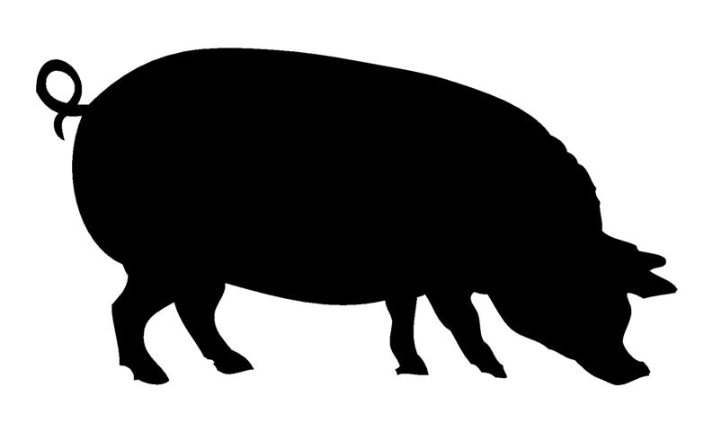 Show Pig Clipart