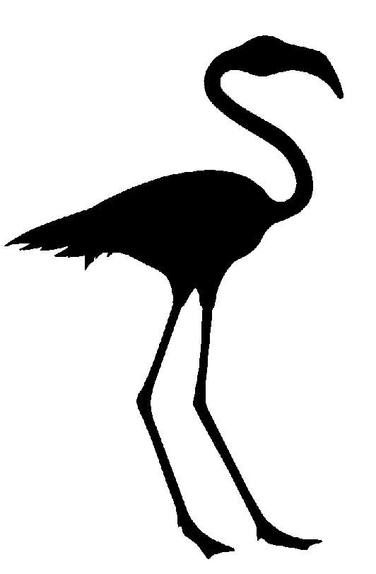 Silhouette, Roses and Flamingos