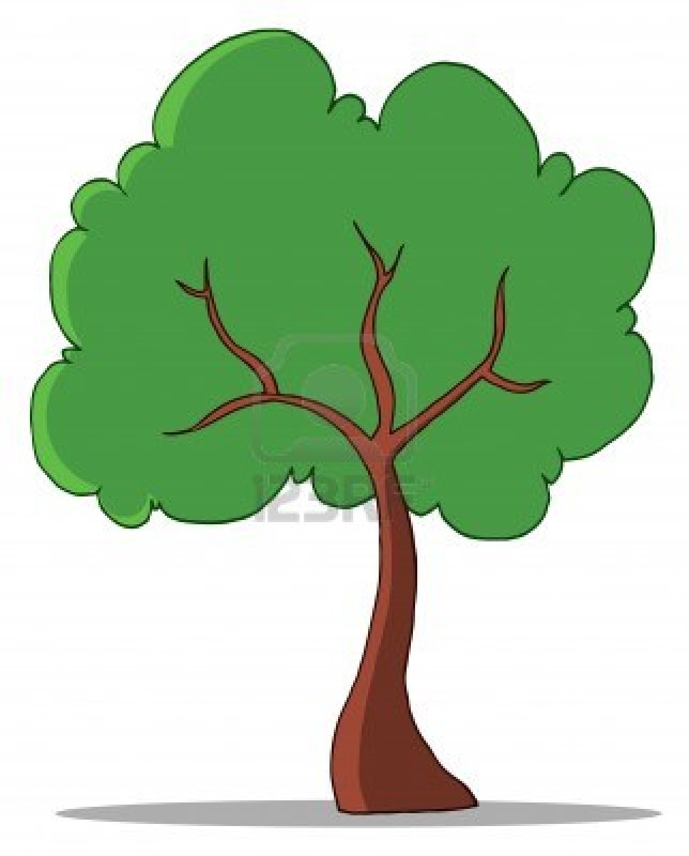 Rainforest tree clipart