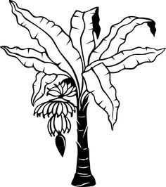 Trees, To draw and Bananas