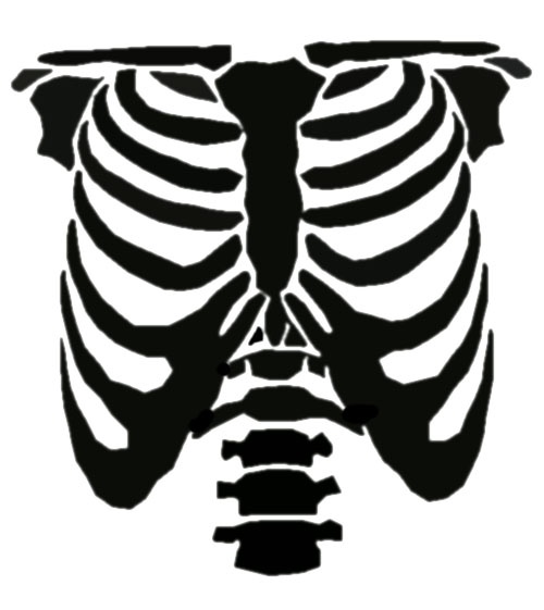 Halloween skeletons, Costumes and Halloween