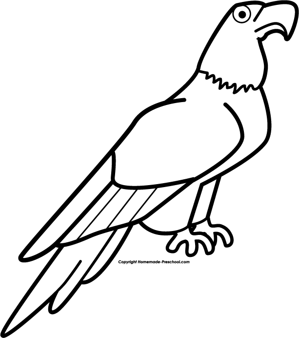 Cute eagle clipart black and white