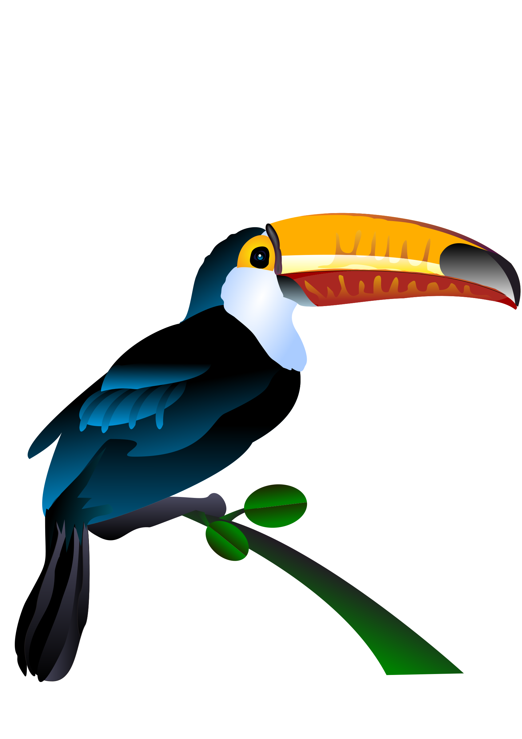 Toucan Vector Art - Free Public Domain Stock Photo