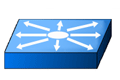 multilayerswitch-icon.gif