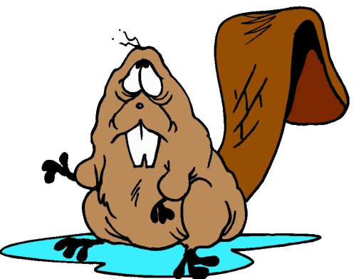 â?· Beavers: Animated Images, Gifs, Pictures & Animations - 100% FREE!