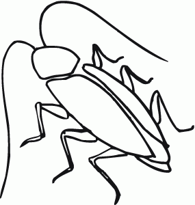 Bat Cave Cockroach Coloring Page Printable - Animal - Cockroach ...