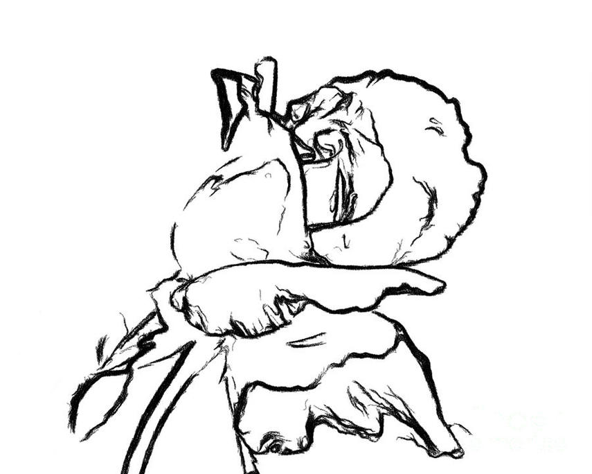 Drawings Of Rose Buds Clipart - Free to use Clip Art Resource