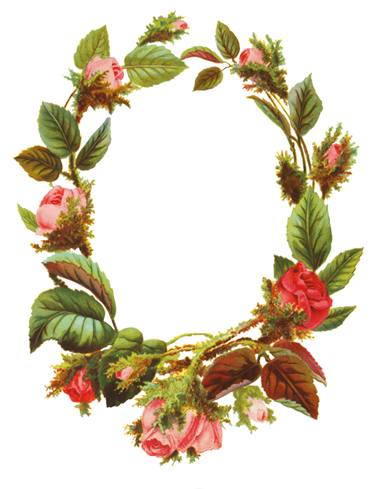 Flower borders and frames