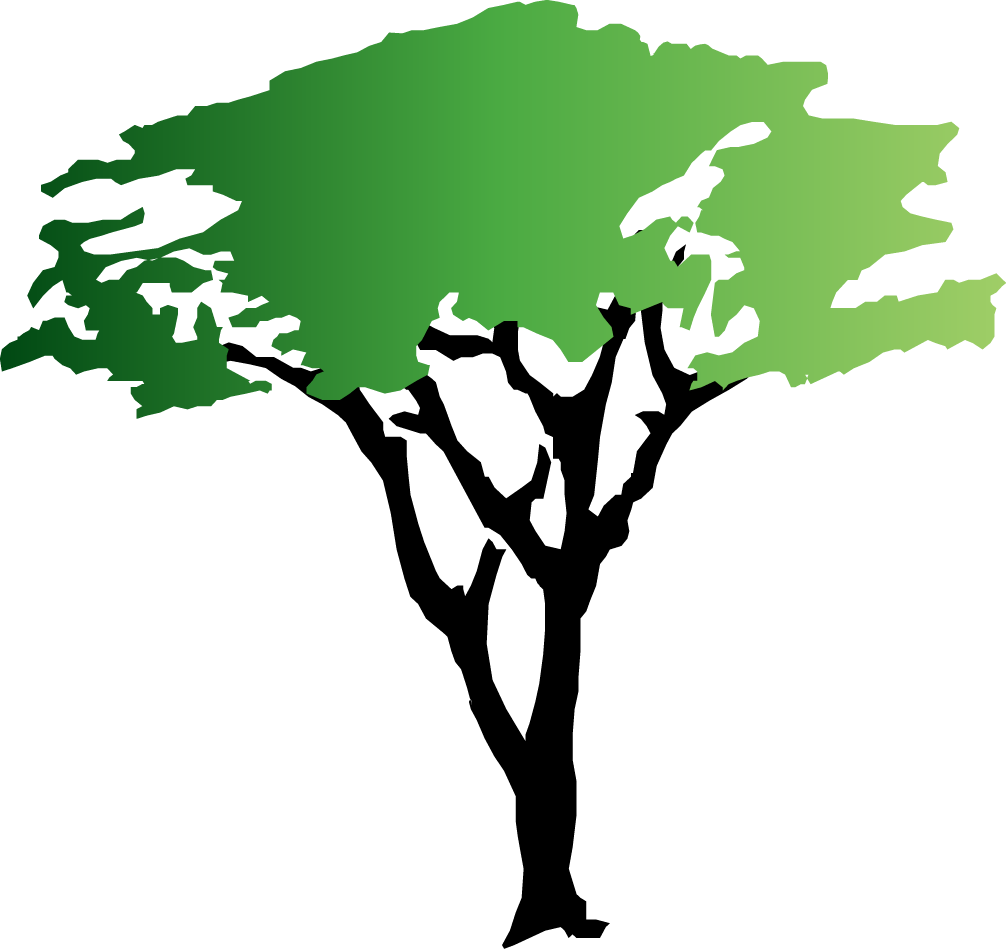 Kauri Tree Clipart