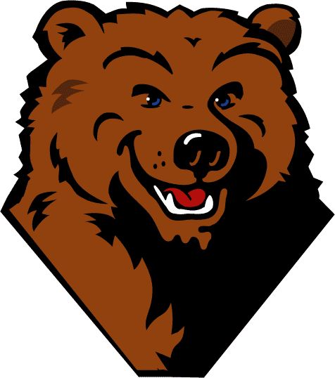 Logos, Bear logo and Bears