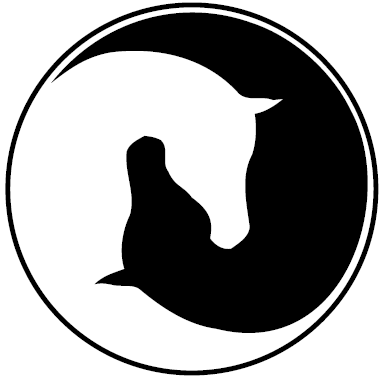 1000+ images about Horse Tattoos