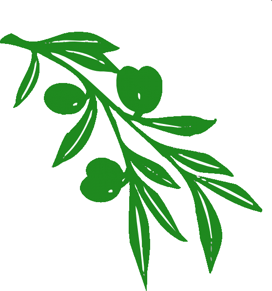 Olive Tree Branch - ClipArt Best