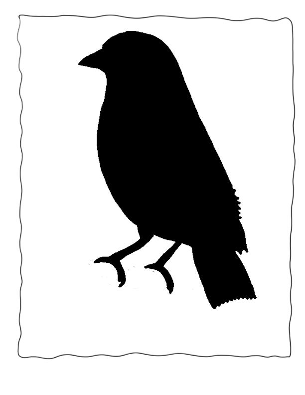 Bird Identification Poster Hawfinch , Echo's Bird Guide for ...