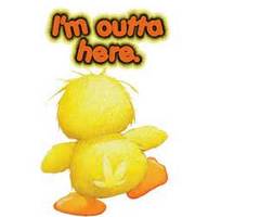 i'm not here images