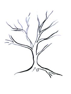 Project Ideas for my students