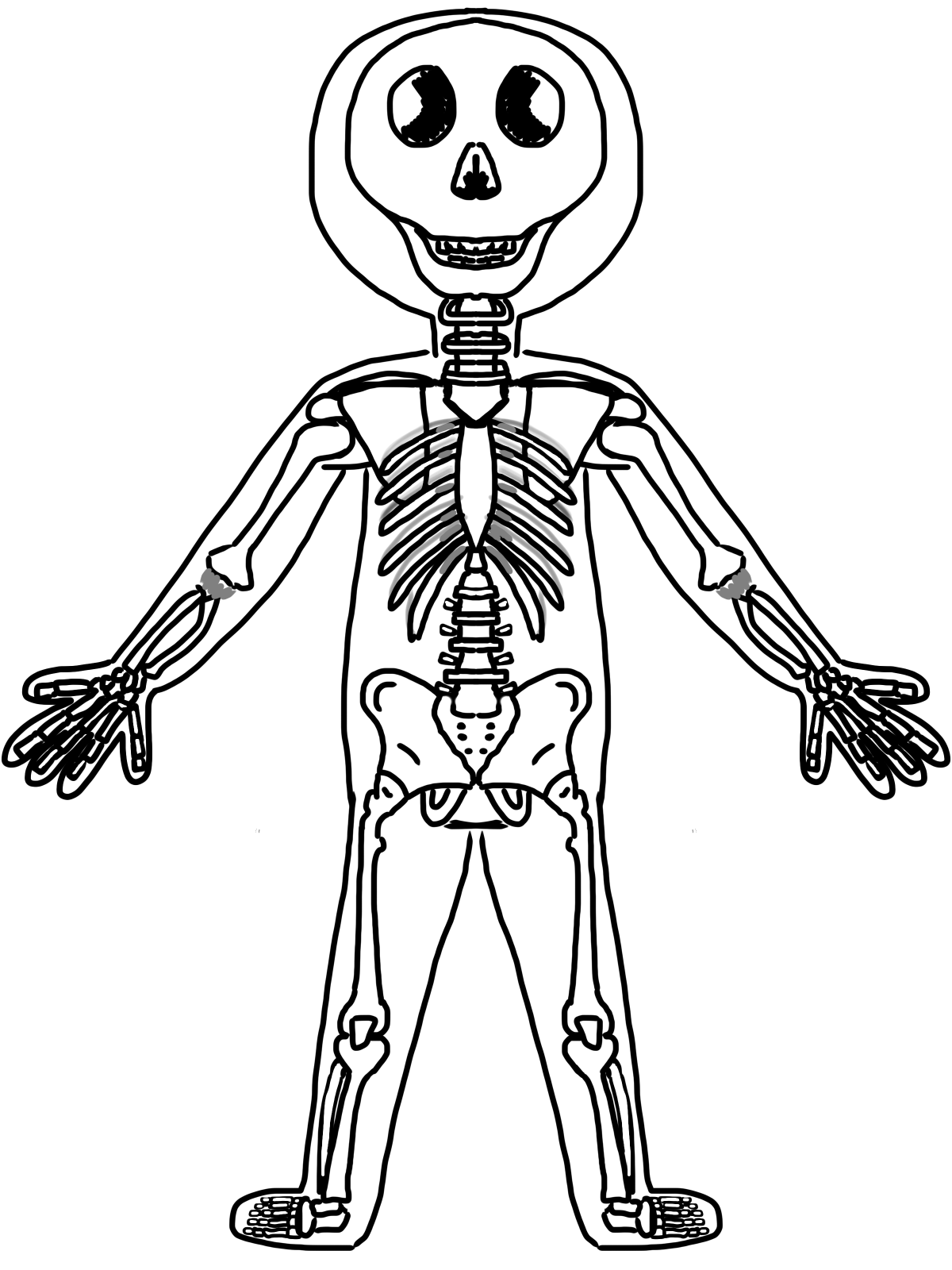 SchoolBox Treasures: Body System Fun!