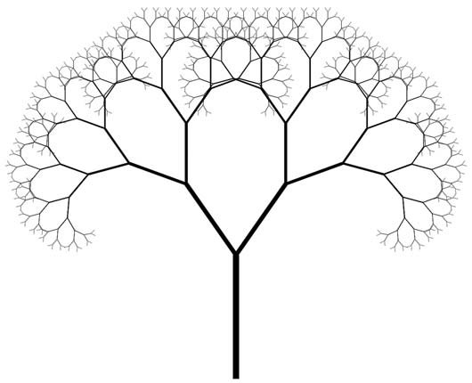 14 amazing fractals found in nature | MNN - Mother Nature Network