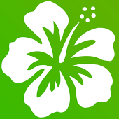 Hawaiian Lei LIVE WALLPAPER