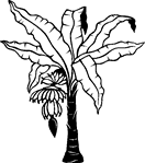 Mega Collection | Trees - Heather Lara (Vector Art (Holmes ...