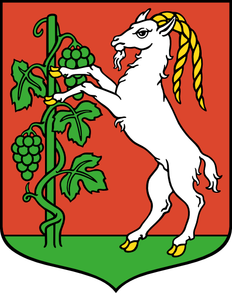 Lublin Coat Of Arms clip art Free Vector