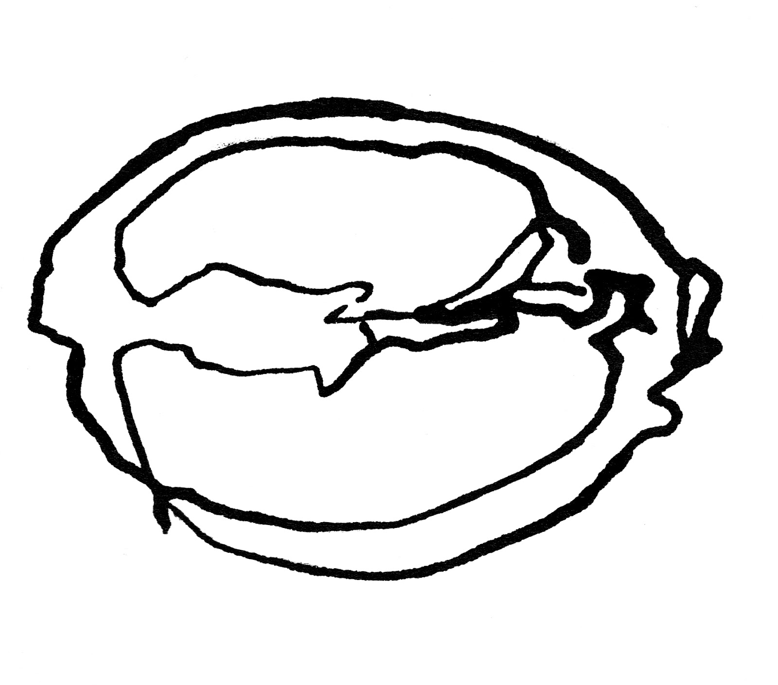 Emma's Art Diary: Fruit Drawings
